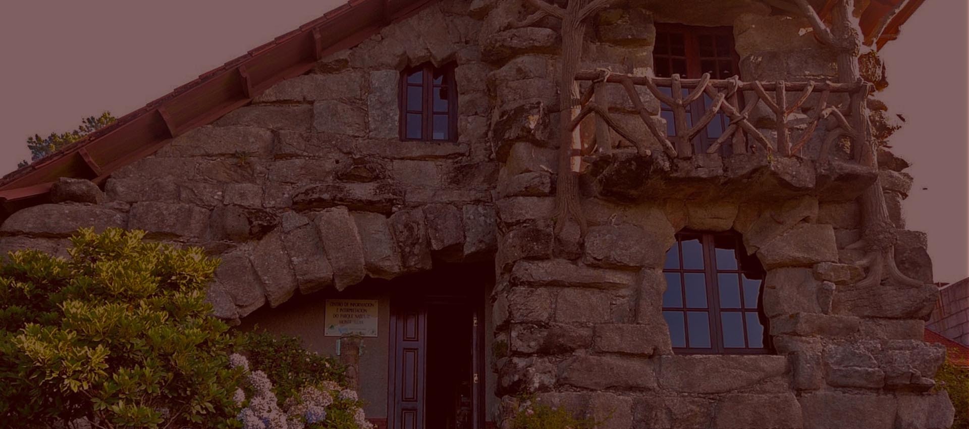 home_slider2